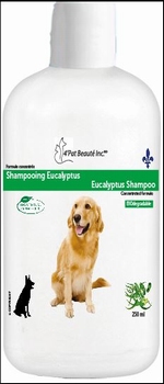 Shampoing Eucalyptus 250 ml