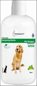 Shampoing Menthe 250 ml