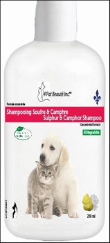 Shampoing Soufre et Camphre 250 ml