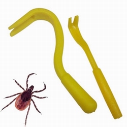 Tick pliers