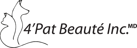 4 Pat Beauté Inc. - Public